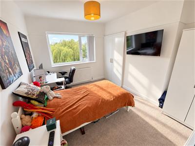 Picture 13